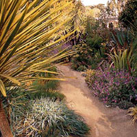 A California Garden Scene