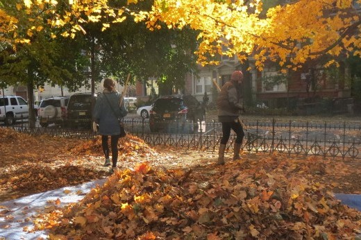 people raking fallen leaves